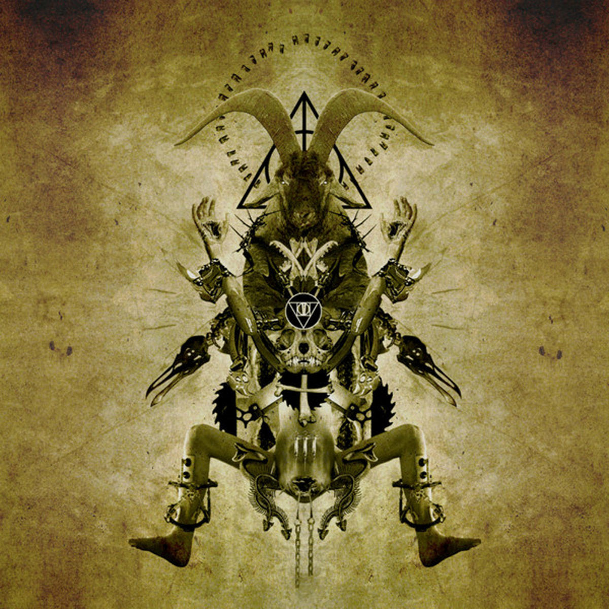 Steel Hook Prostheses – Calm Morbidity