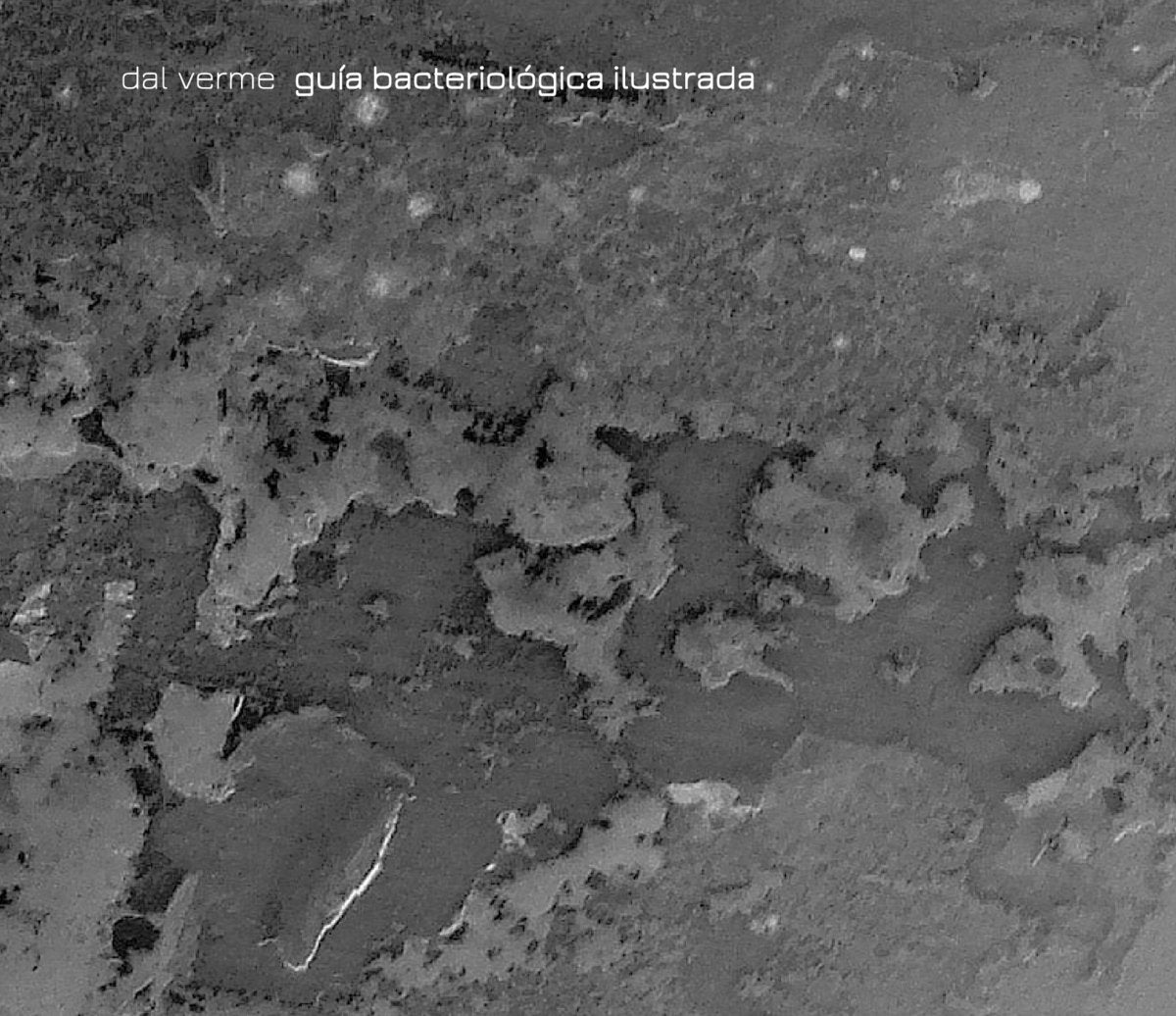 Dal Verme – Guía Bacteriológica Ilustrada