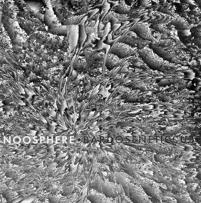 Bardoseneticcube – Noosphere