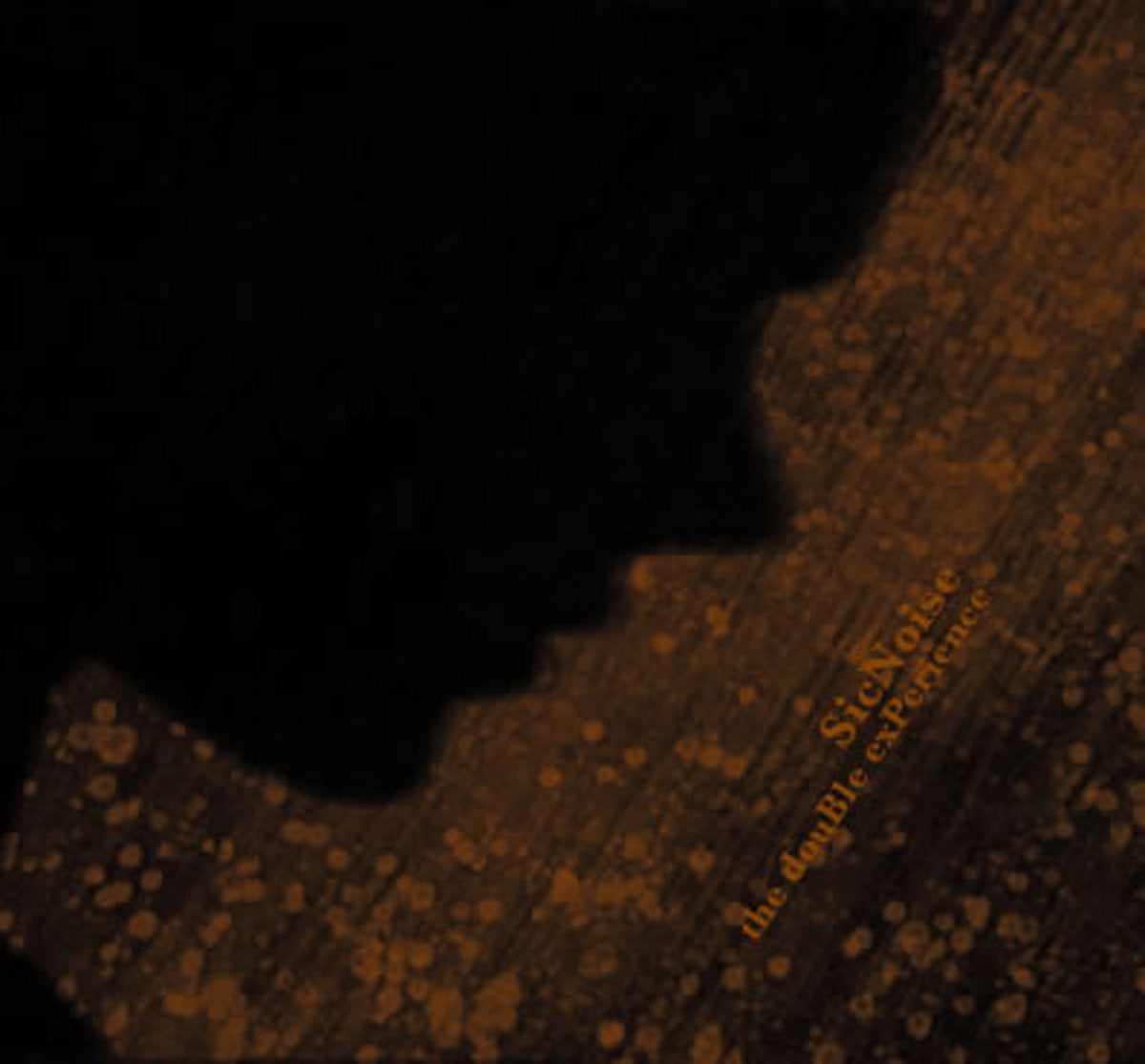 SicNoise – The Double Experience