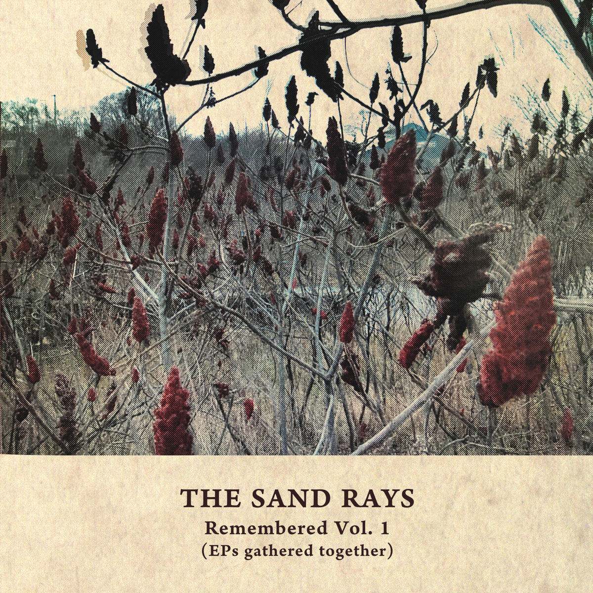 The Sand Rays – Remembered Vol. 1 (EPs Gathered Together)