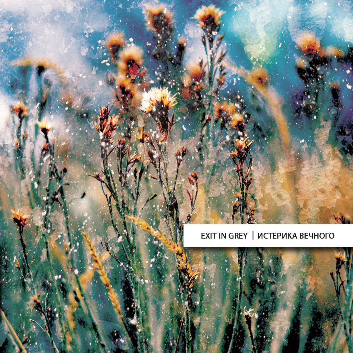 Exit In Grey – Истерика Вечного