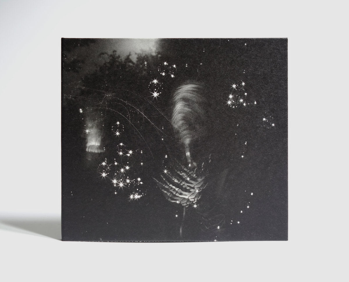 Anemone Tube ‎– The Three Worlds – Forget Heaven