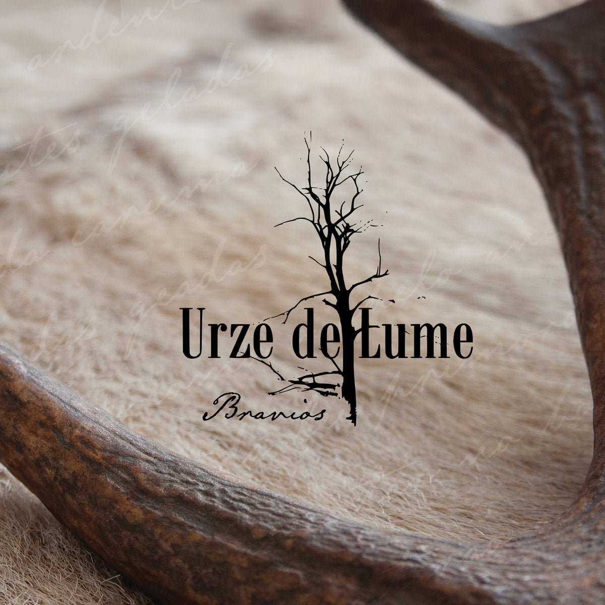 Urze De Lume – Bravios
