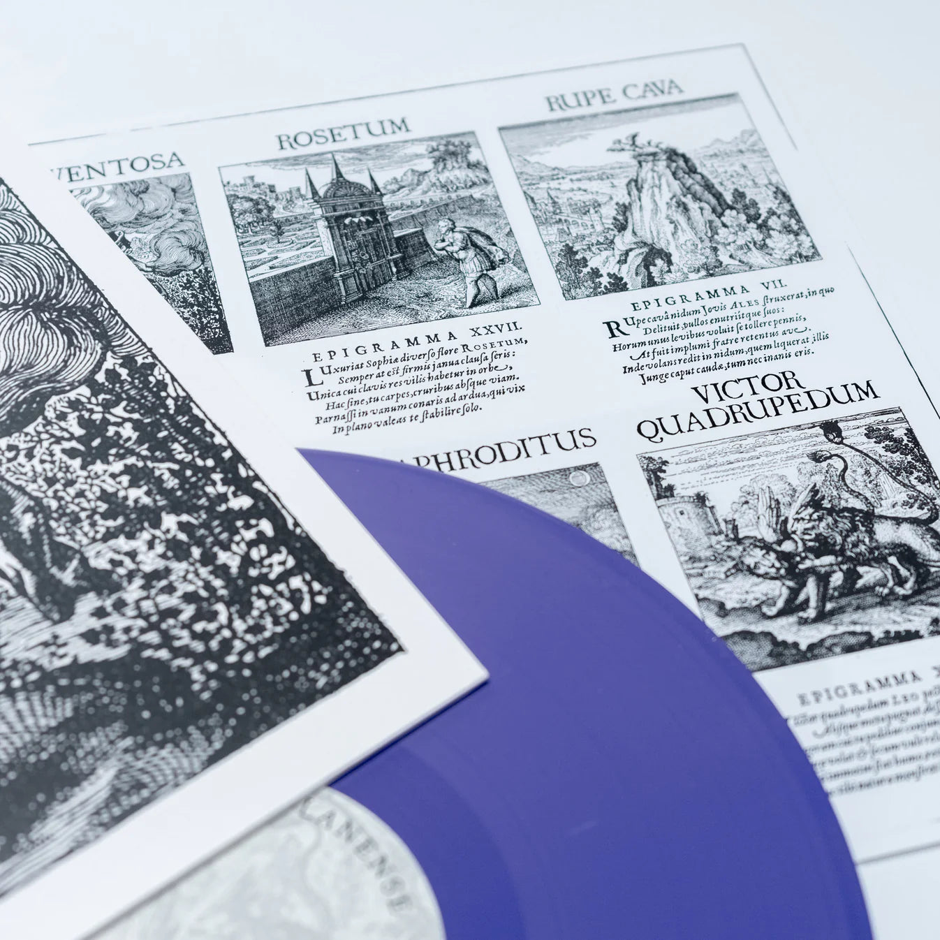 Camerata Mediolanense - Atalanta Fugiens (LP, Album, Purple Bio)