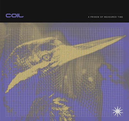 Coil - A Prison Of Measured Time