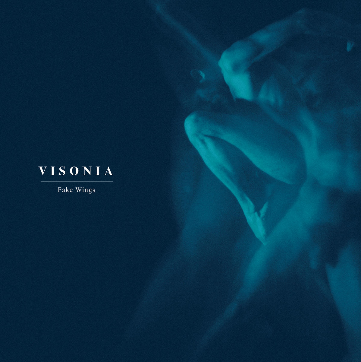 Visonia ‎– Fake Wing