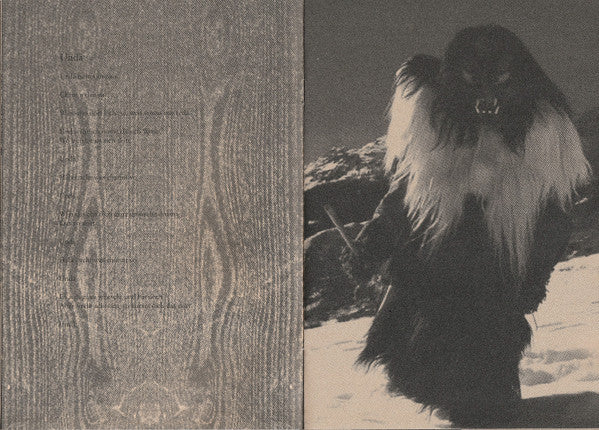 Paysage D'Hiver – Geister