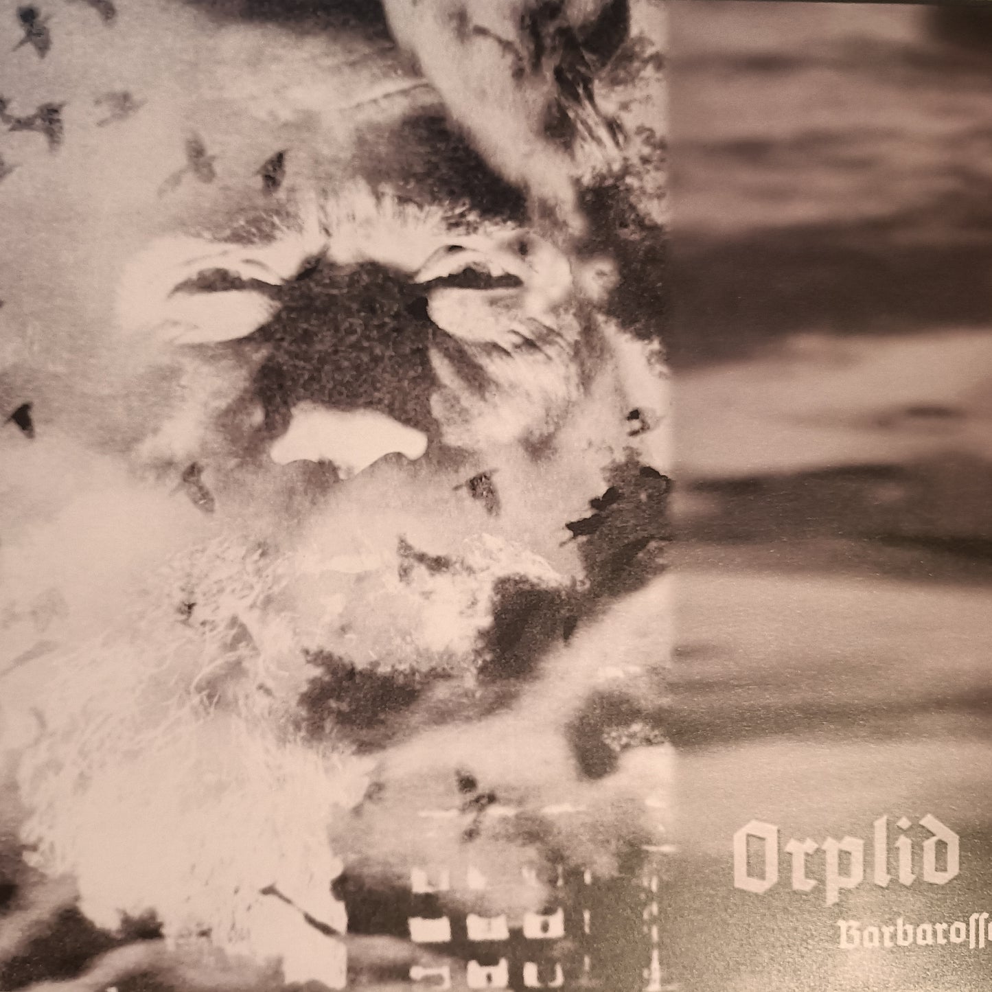 Orplid - Barbarossa (Vinyl, 10)