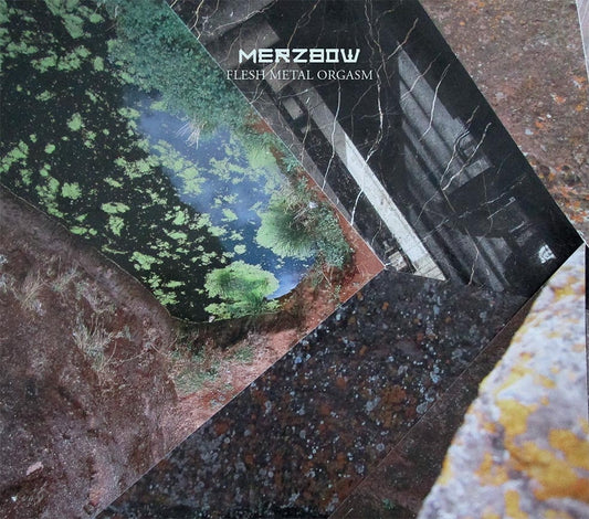 Merzbow ‎– Flesh Metal Orgasm