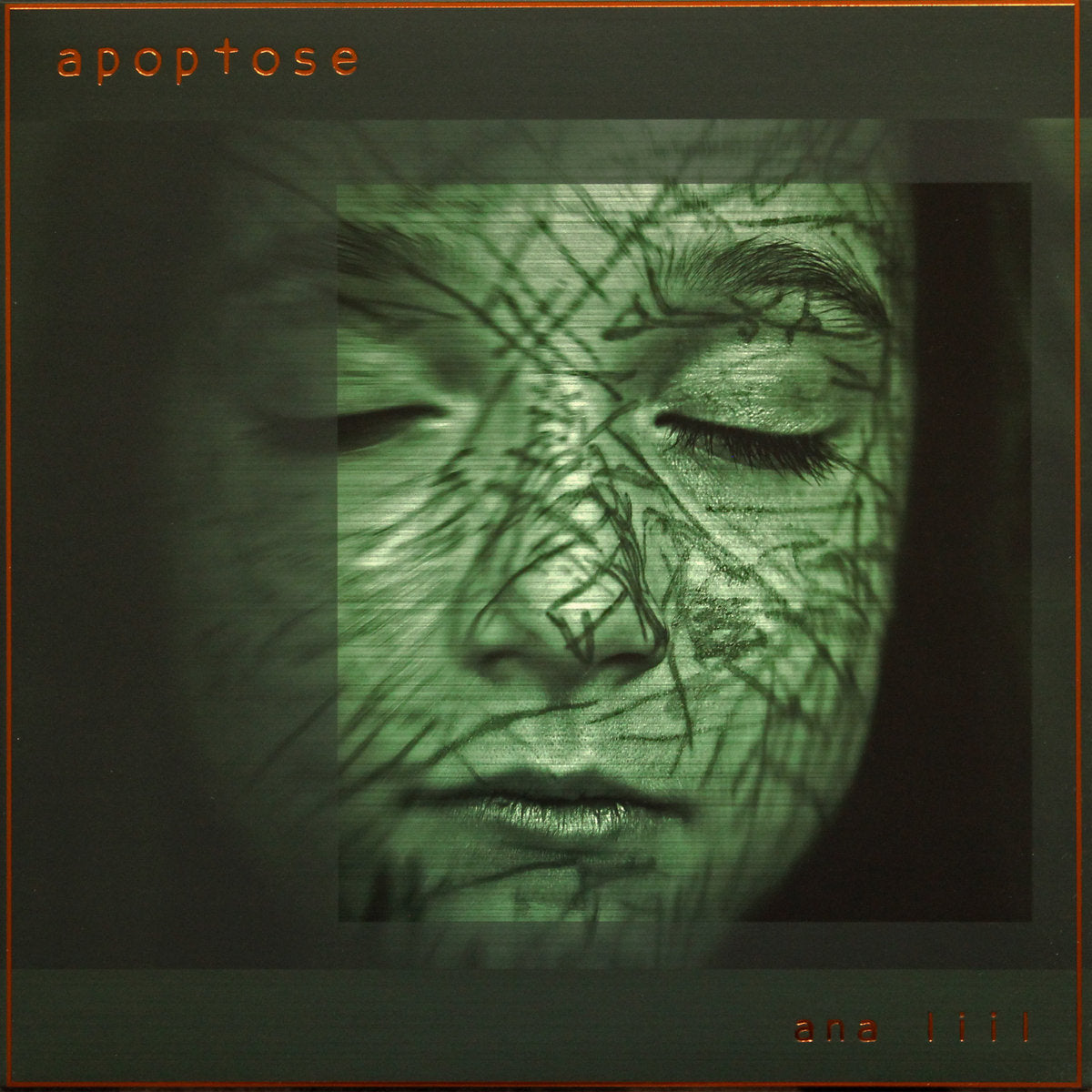 Apoptose - Ana Liil