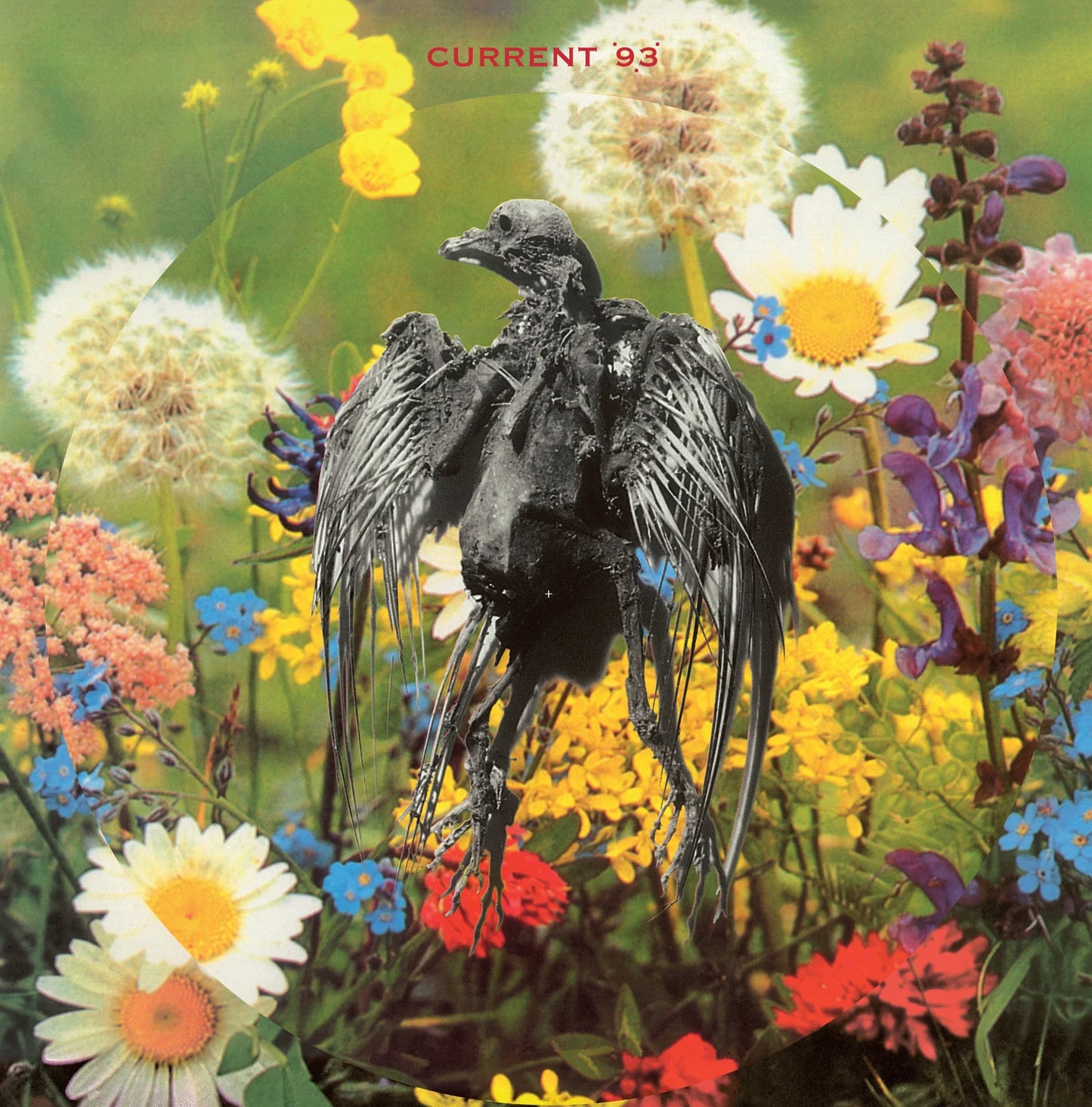 Current 93 – Swastikas For Noddy