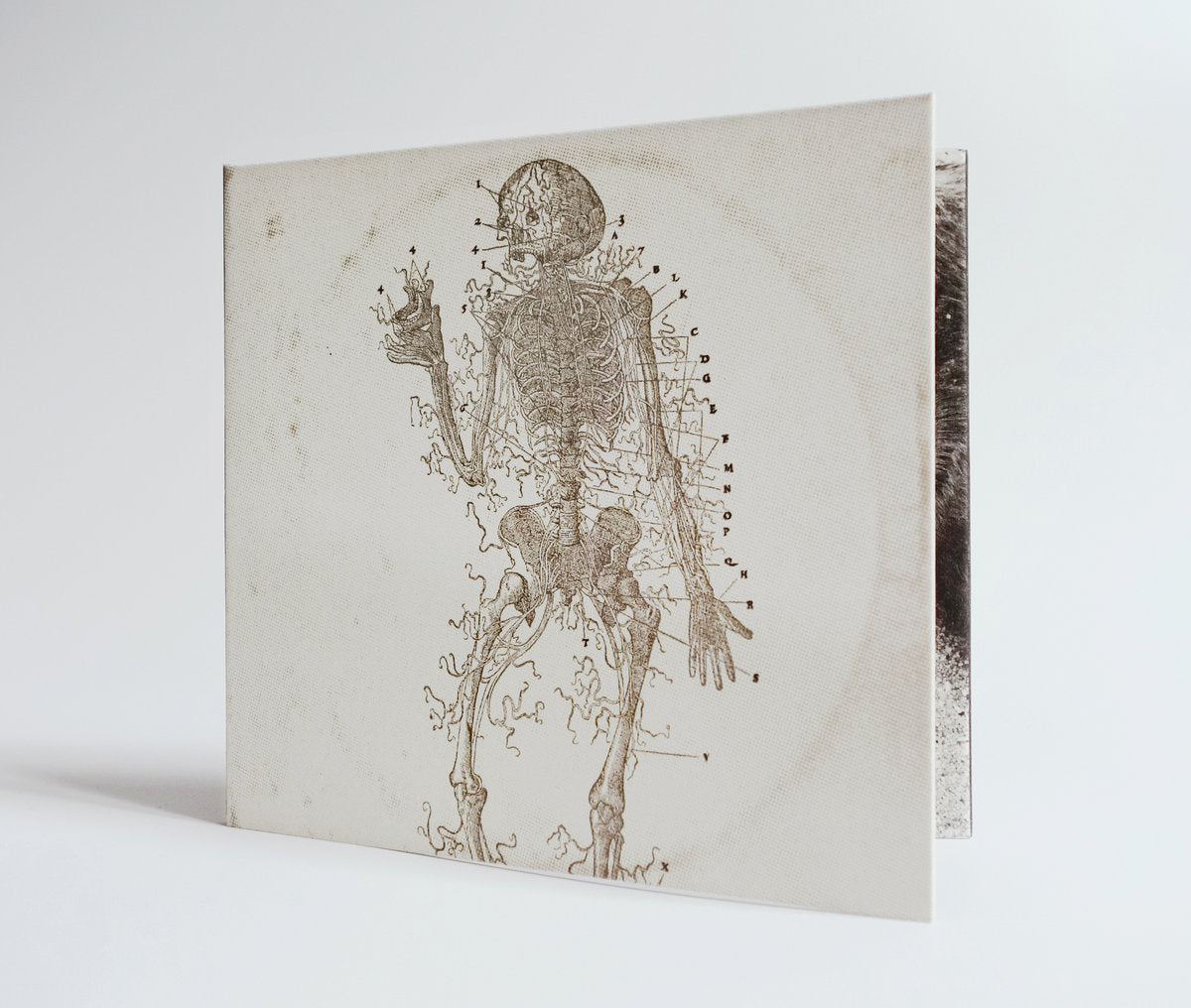 Last Dominion Lost ‎– Abomination Of Desolation